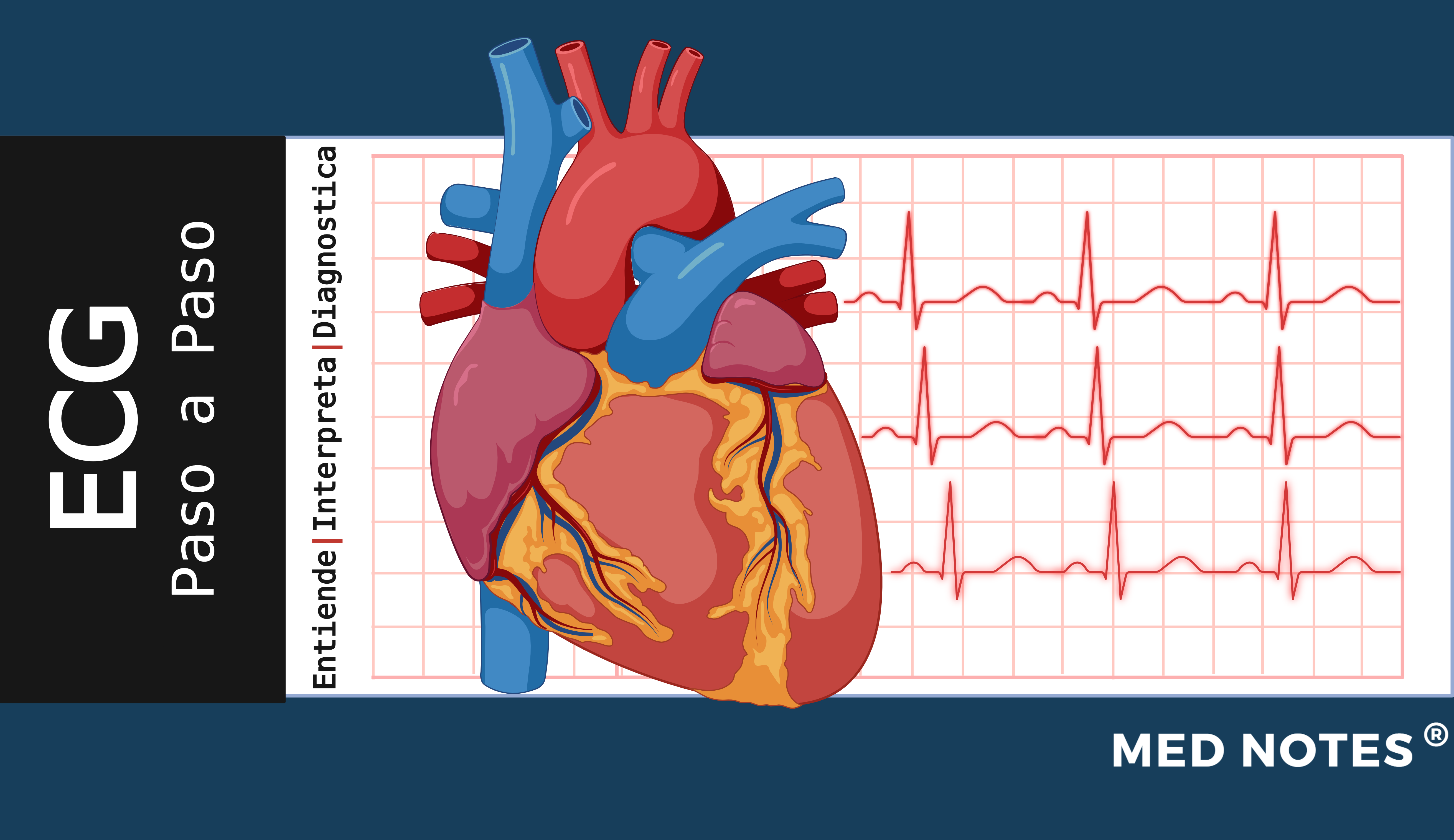 Guía paso a paso: Electrocardiograma (ECG)